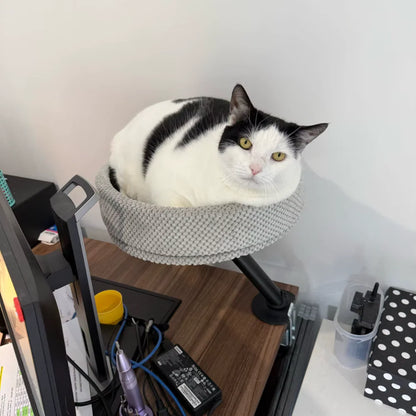 Cat Desk Bed | 360° Rotating Cozy Space-Saving Cat Lounge